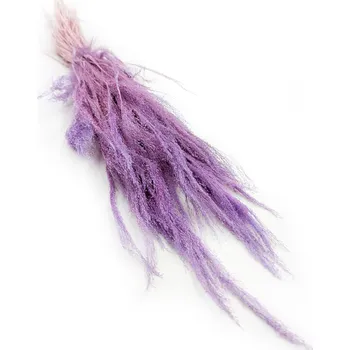 mech-mech.cz Sušená tráva Agrostis - Lila