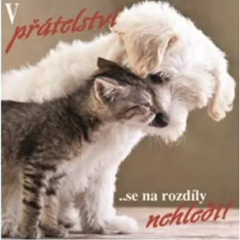 3D přání do obálky, kočka a pes,1ks