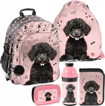 Školní batoh vícekomorový Paso růžový, vícebarevný