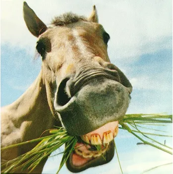 3D přání do obálky- Kůň, 1ks