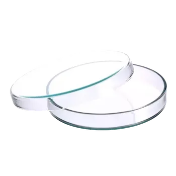 Skleněná Petriho miska 60×12 mm s víčkem