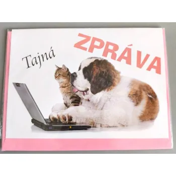 Přání do obálky-pejsek a kočička, Tajná zpráva, 1ks