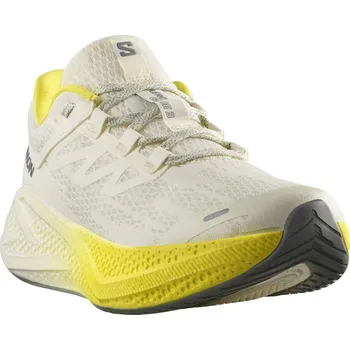 Pánská obuv Salomon Aero Glide 3 M L47975900 - vanilla ice/blazing yellow/sedona sage 44