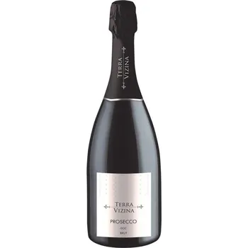 Terra Vizina Prosecco DOC brut 0,75 l