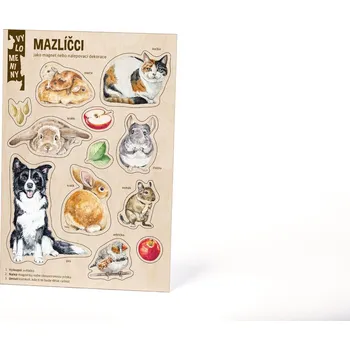 Dřevěná hračka Lesní svět Velké vylomeniny - Domácí mazlíčci