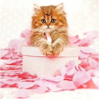 3D přání do obálky- Kočička, 1ks