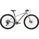 Juniorské horské kolo AMULET-29 Youngster 1.11 SH, alu brushed transparent/red Červená S