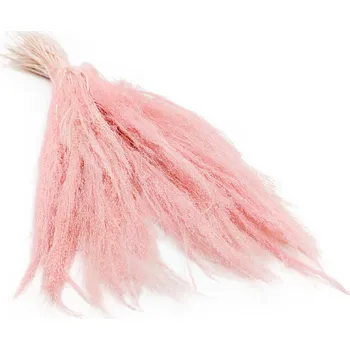 mech-mech.cz Sušená tráva Agrostis - Světle růžová