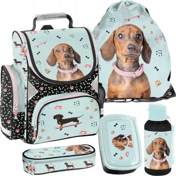 Školní batoh Školní aktovka jednokomorová 1l Paso