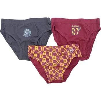 Slipy Sun City Chlapecké slipy HARRY POTTER 3pack vícebarevné, Velikost: 104/110 104/110