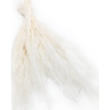 mech-mech.cz Sušená tráva Agrostis - Bělená