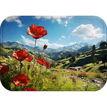 Koupelnová předložka KOUPELNOVÁ PŘEDLOŽKA MĚKKÁ PŘÍRODA ROHOŽKA OBDÉLNÍKOVÁ RYCHLESCHNOUCÍ 40x60 HIT