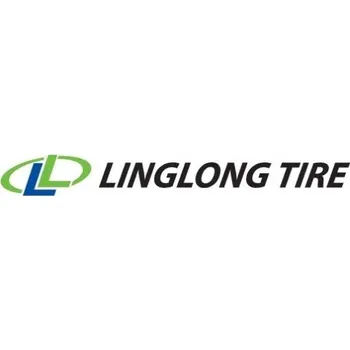 Zimní osobní pneu Zimní pneumatika Linglong GREEN-MAX Winter Van 185/75R16 104/102 R s přilnavostí na sněhu (3PMSF)