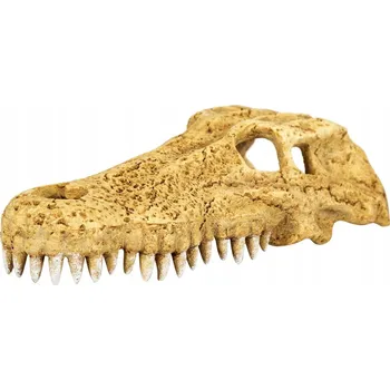 Obraz KROKODÝLÍ LEBKA - DEKORACE DO TERÁRIA AKVÁRIA