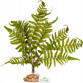 umělá květina UMĚLÁ LESNÍ KRYCÍ ROSTLINA 32 CM