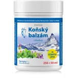 Koňský balzám Swiss chladivý 250 + 50 ml ZDARMA
