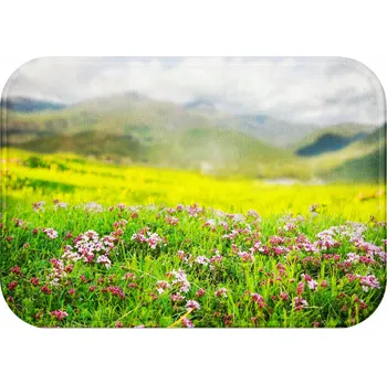 Koupelnová předložka KOUPELNOVÁ PŘEDLOŽKA MĚKKÁ OBDÉLNÍKOVÁ PODLOŽKA HIT PŘÍRODA RYCHLESCHNOUCÍ 40x60