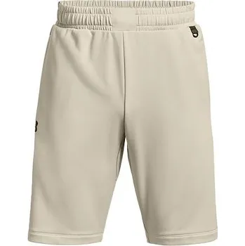 Pánské kraťasy Under Armour Armour Terry Short - 3478016