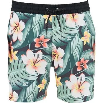 Pánské plavky Pánské plavky Hurley Phantom Cabana Volley 17"