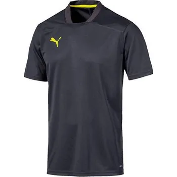 Pánské tričko Puma ftblNXT Training Tee