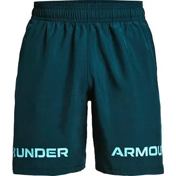 Pánské kraťasy UA Woven Graphic WM Short-BLU