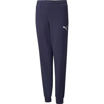 Dětské tepláky Puma Active Sports Sweatspant - Sports Sweatspant