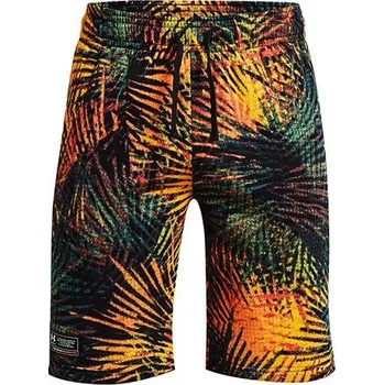 Pánské šortky Under Armour - 3479617