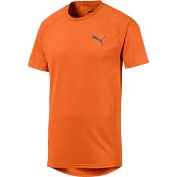 Pánské tričko Pánské triko Puma Evostripe - Evostripe - 3322070