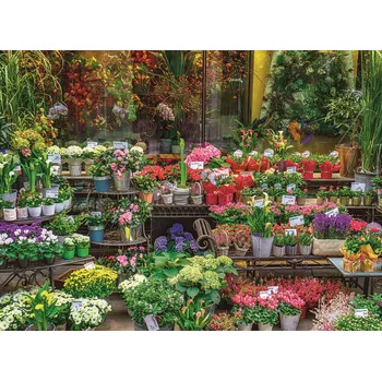 Puzzle RAVENSBURGER Pobřeží Na Pali Havaj 500 dílků