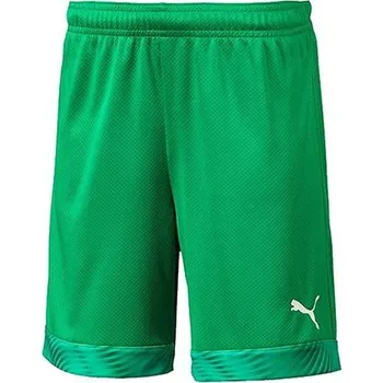 Dětské fotbalové šortky Puma CUP Kids - CUP – lehké a funkční dětské šortky Puma – ideální volba pro trénink i zápas, v různém barevném provedení.