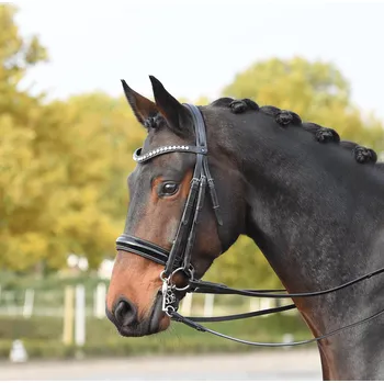 BUSSE Uzda Luxury BUSSE, black/crystal pearl FULL