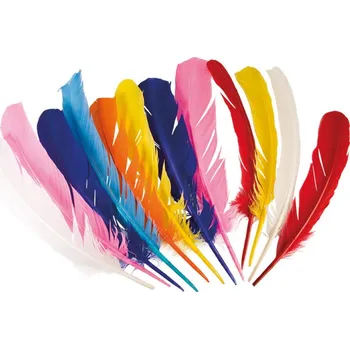 Karnevalový kostým Sada 12 peříček 30 cm