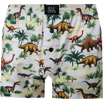 Pánské spodní prádlo Pánské Trenkoslipy FOLTÝN PTS 390 Velikost: 2XL