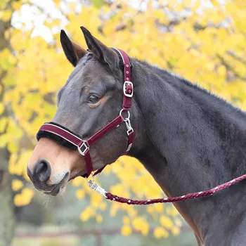 BUSSE Ohlávka Ideal BUSSE, burgundy/silver SHETTY