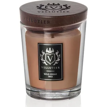 Svíčka Svíčka Vellutier střední, Wild Cedar Tree