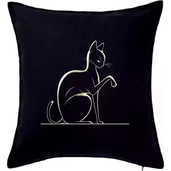Polštář Kočka nasvícená - Polštář 50x50 - 50x50 - Pouze potah ( Černá )