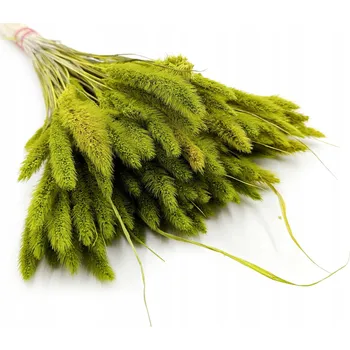 umělá květina Mochyně italská (Setaria) Světle Zelená - kytice