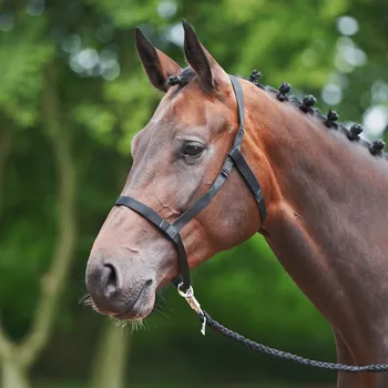 BUSSE Ohlávka Weide BUSSE, černá EXTRA FULL