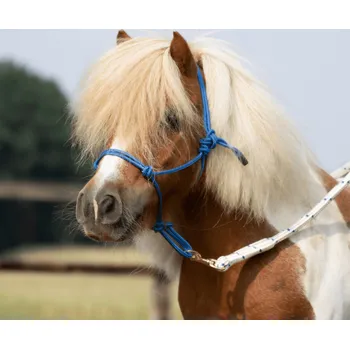 BUSSE Ohlávka provazová Smooth II BUSSE, blue COB