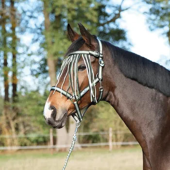Koňská maska proti hmyzu BUSSE Třásně proti hmyzu Tampere BUSSE, fresh olive/black/white PONY