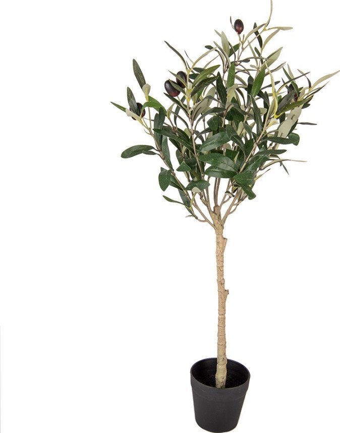 Dekorace umělý stromek olivovník s olivami Olea Tree - 15*15*70 cm