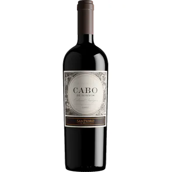Víno Vina San Pedro Cabo de Hornos Special Reserve 2021 > Červené víno > Ostatní červené směsi > Chile
