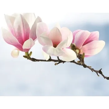 Papírový kapesník Ubrousky MAKI L (20ks) Magnolia Twig Light Blue