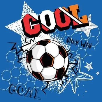 Papírový kapesník Ubrousky DAISY L (20ks) Cool Football