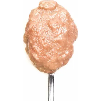 Krmivo pro kočku 3COTY Turkey with goose For kittens - mokré krmivo pro kočky - 80g