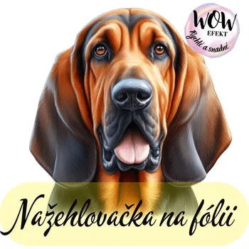 Nažehlovačky na fólii Nažehlovačka na fólii, NĚMECKÁ DOGA, 11,8x11,5 cm /ks