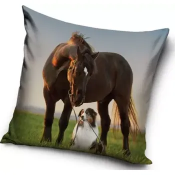 Dekorativní polštářek Povlak na polštář Kůň a Australský ovčák, 40x40 cm (Dekorační povlaky na polštářek s koněm)