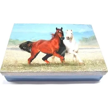 Školní kufřík Školní krabice do lavice Koně