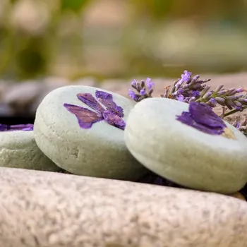 Šampon Ponio Tuhý šampon Šampúch Verze: Dvojitá levandule / Balení: 60 g