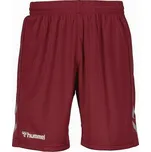 pánské šortky HUMMEL - MAROON - M (Hummel Elite Poly Shorts)
